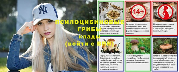 a pvp Алексеевка