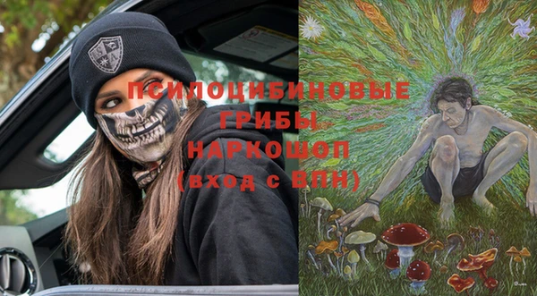 шишки Абинск