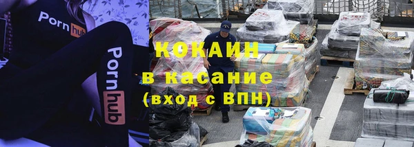 шишки Абинск